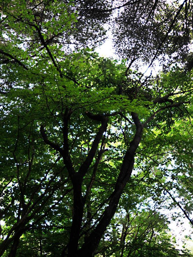 大人スイート 那須高原 結 Cottage Nasu Exteriör bild